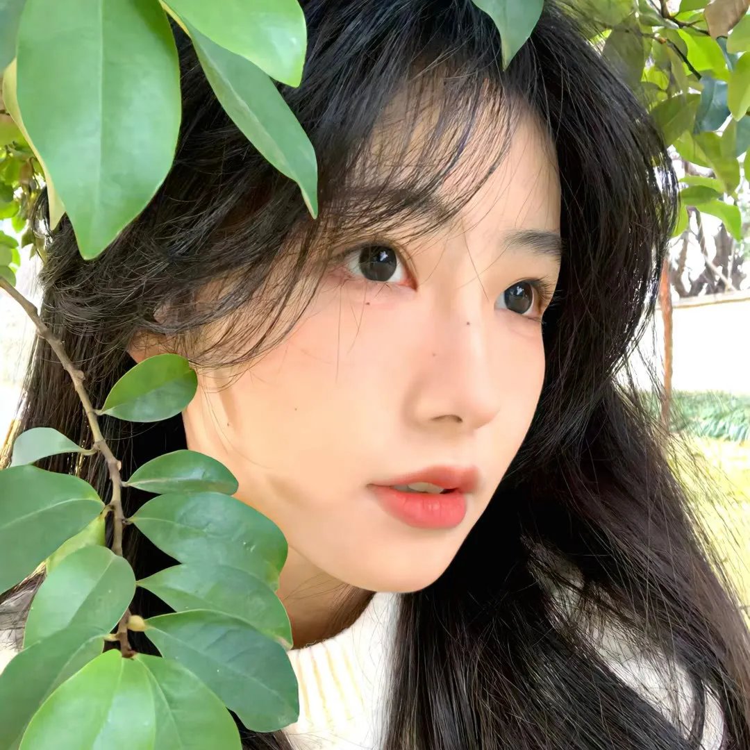 狐尾小精灵海报